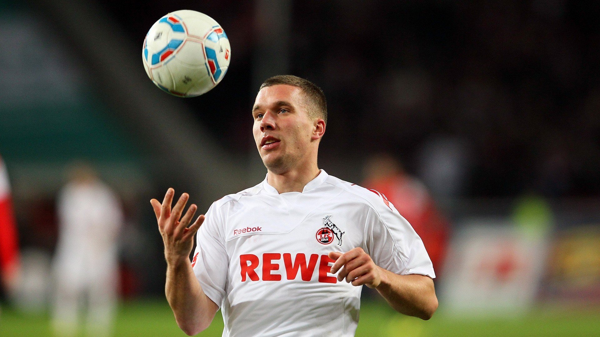 超级橄榄球联赛 新西兰十字军队再夺总冠军 “红黑军团”建立联赛王朝